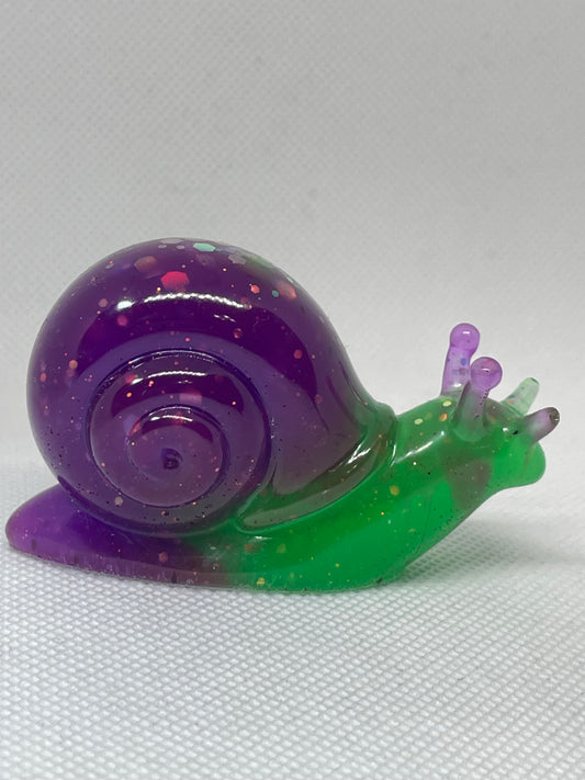 Snail-Medium