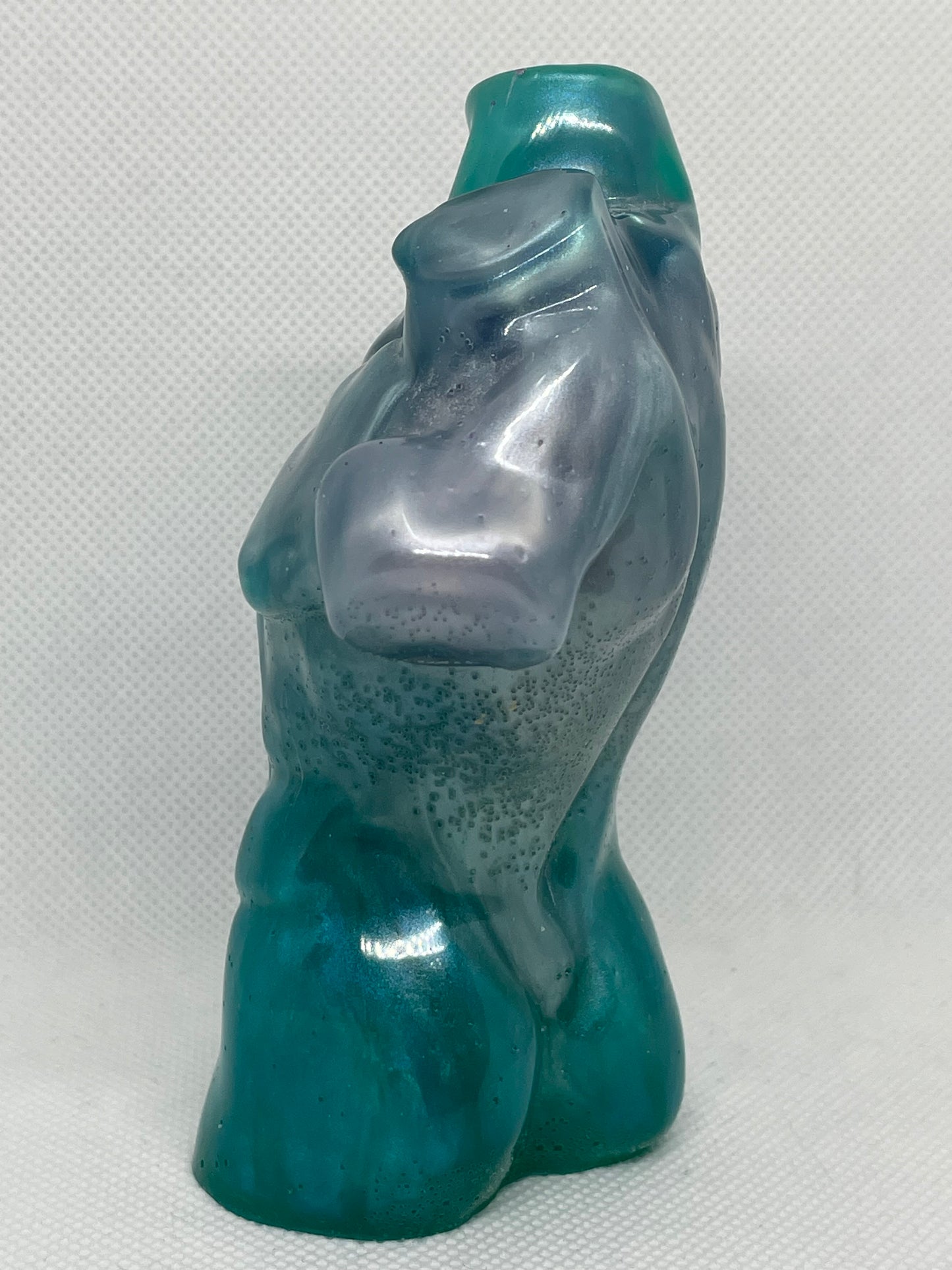 Male Torso