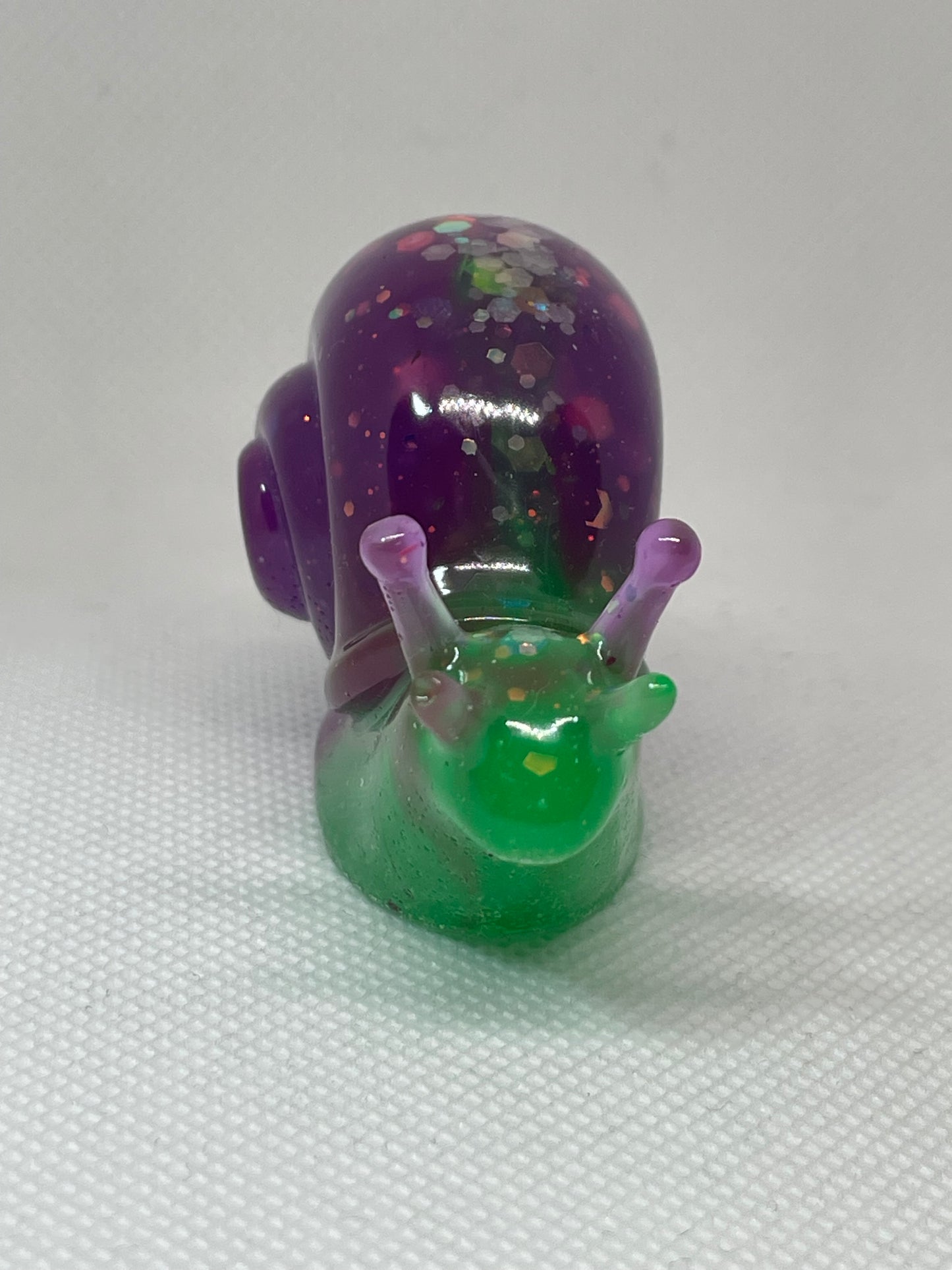 Snail-Medium